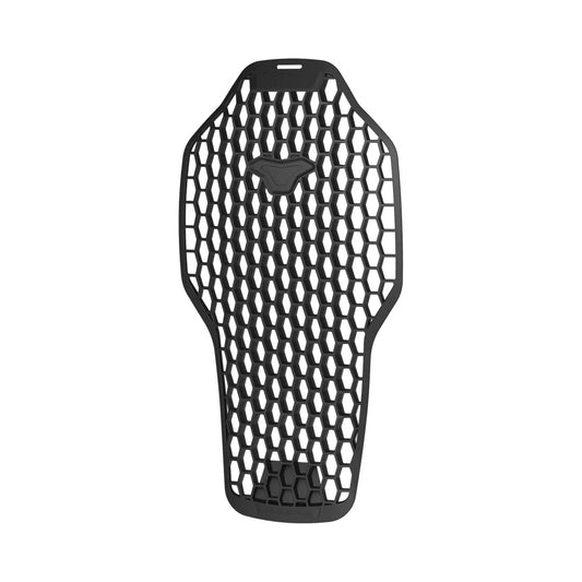 PARASCHIENA MACNA R.I.S.C LIV.2 38-43 CM