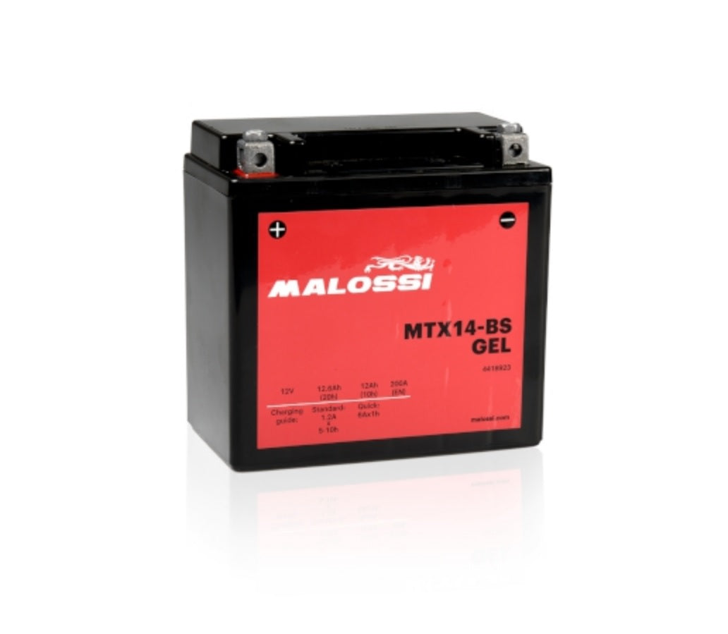 BATTERIA MTX14 BS MALOSSI GEL COMPATIBILE PRONTA ALL USO - Della Categoria Batterie Produttore Malossi - A soli €59.18! Acquista ora su dueruoteaccessori.it